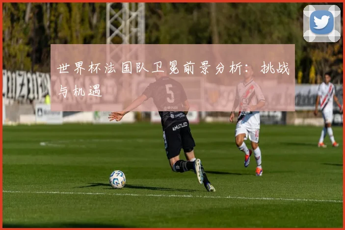 世界杯法国队卫冕前景分析：挑战与机遇